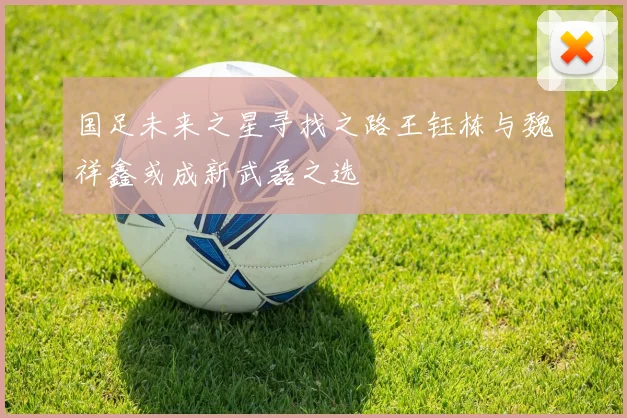 国足未来之星寻找之路王钰栋与魏祥鑫或成新武磊之选