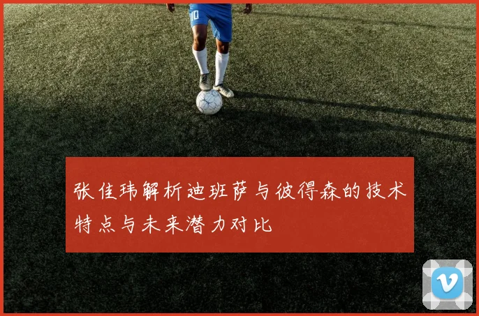 张佳玮解析迪班萨与彼得森的技术特点与未来潜力对比